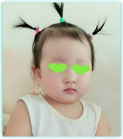 深圳借卵价格