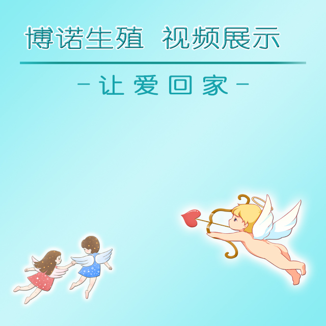 深圳借卵机构